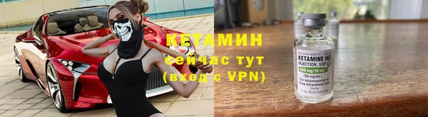 шишки Заводоуковск
