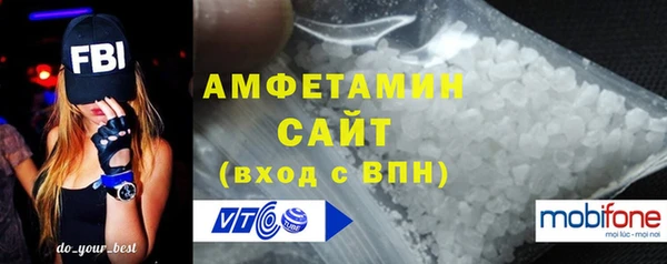 шишки Заводоуковск