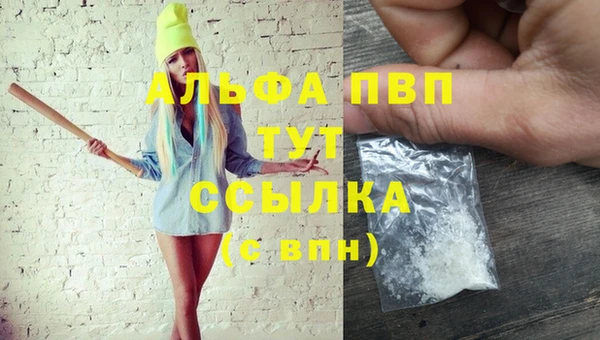 шишки Заводоуковск