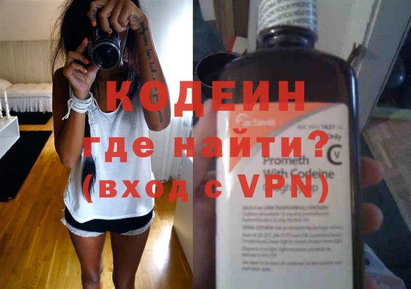 шишки Заводоуковск