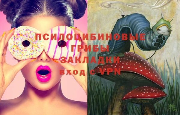 шишки Заводоуковск