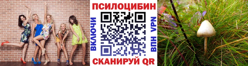Галлюциногенные грибы GOLDEN TEACHER  KRAKEN как зайти  Истра  цены наркотик 