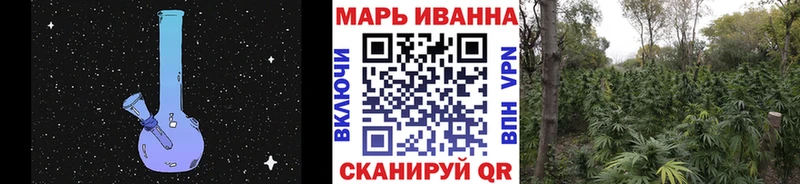Бошки Шишки ГИДРОПОН  Истра 
